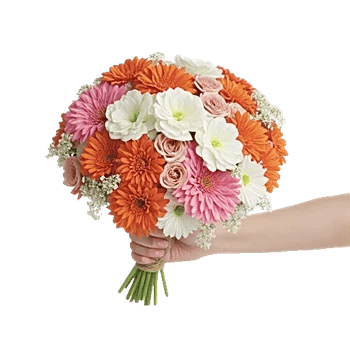 Delicate Petal Cascade