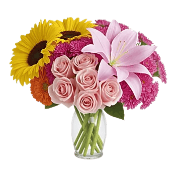 Pink Pastel Roses