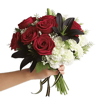 Crimson Rose Elegance