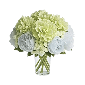 Petal Radiance Bliss