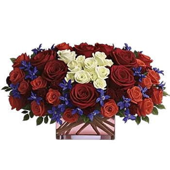 Radiant Rose Symphony