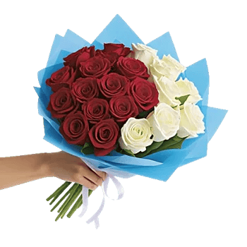 Crimson Rose Elegance