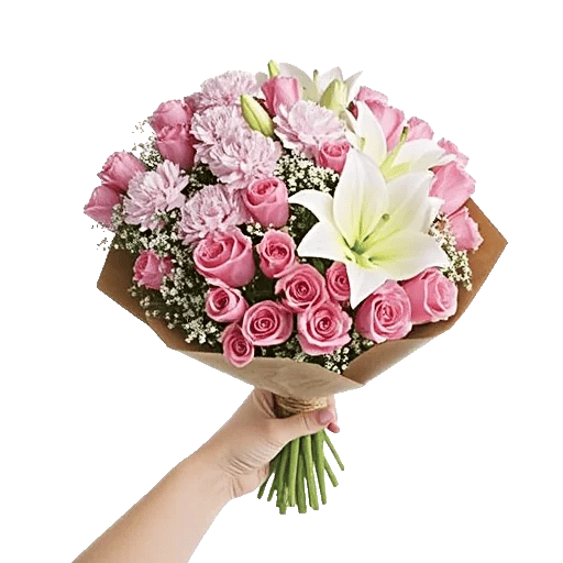 Pastel Pink Roses