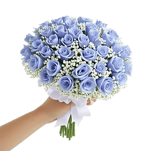 Blossom Petal Serenity