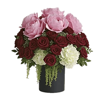 Petal Radiance Bliss