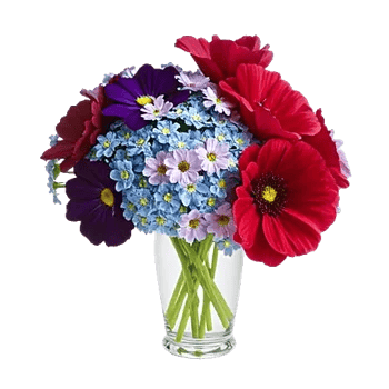 Petal Radiance Bliss