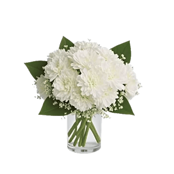 Delicate Petal Cascade