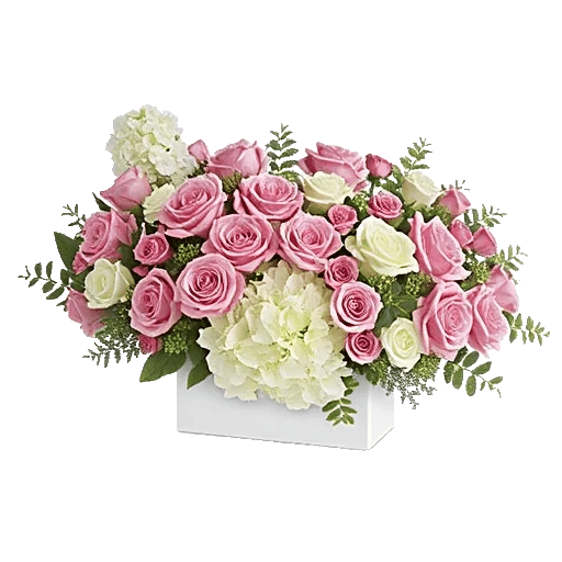 Delicate Petal Cascade