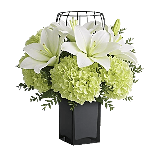Ivory Blossom Radiance