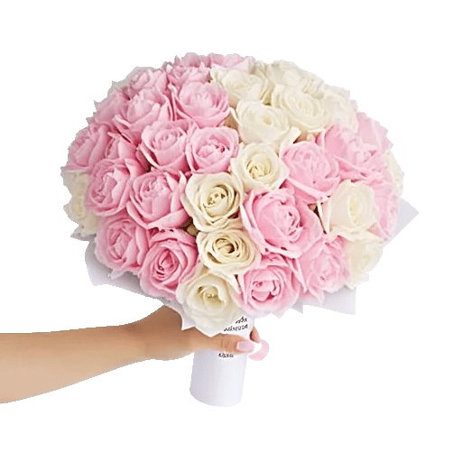 Peony Petal Harmony