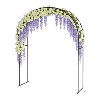 Elegant Calla Lilies