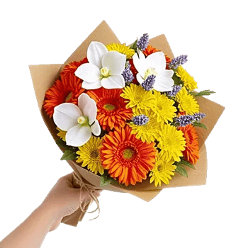 Vibrant Orange Delight