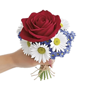 Crimson Rose Elegance