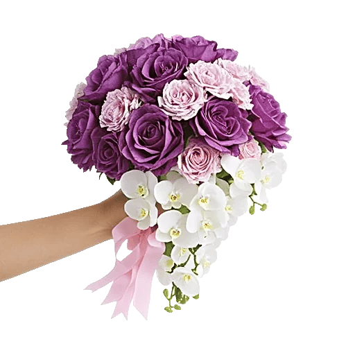 Orchid Bloom Cascade