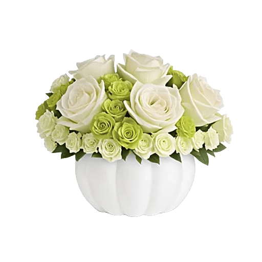 Modern White Orchids