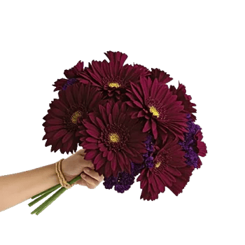 Crimson Blossom Harmony