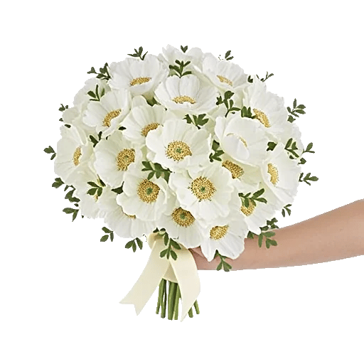 Minimalist White Orchids