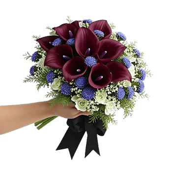 Elegant Calla Lilies
