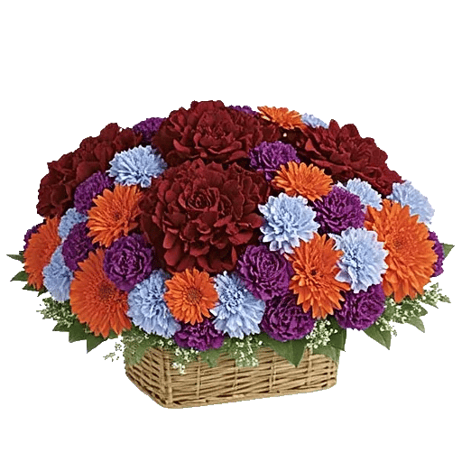 Petal Radiance Bliss