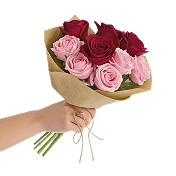 Crimson Rose Elegance