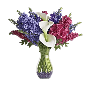 Elegant Calla Lilies