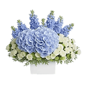 Azure Sky Blooms