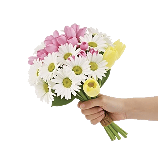 Blossom Petal Serenity