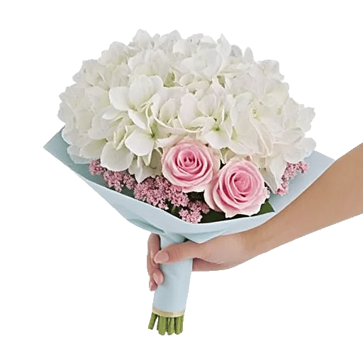 Serene Petal Harmony