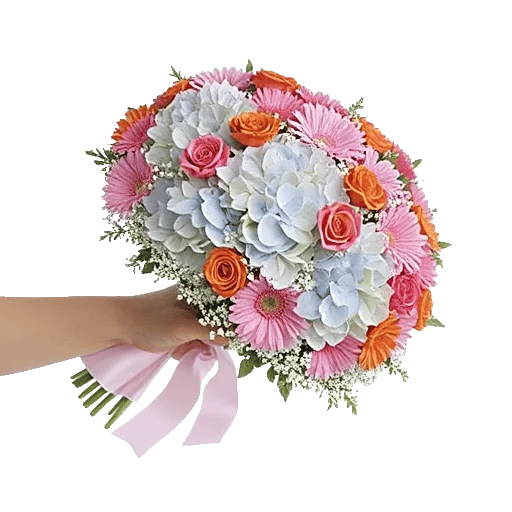 Serene Petal Harmony