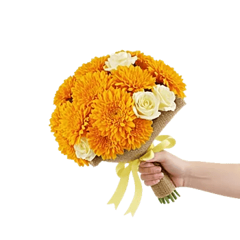 Golden Petal Harmony