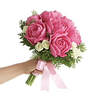 Peony Petal Harmony