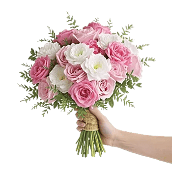 Pink Pastel Roses