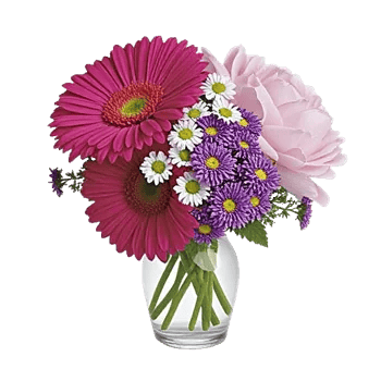 Petal Radiance Bliss