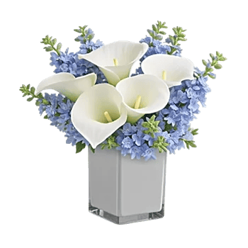 Graceful Lily Display