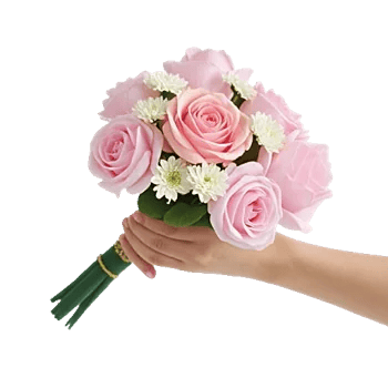 Pastel Pink Roses