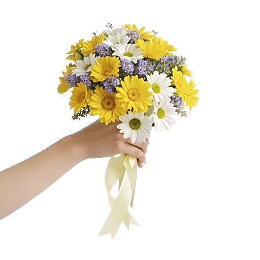 Delicate Petal Cascade