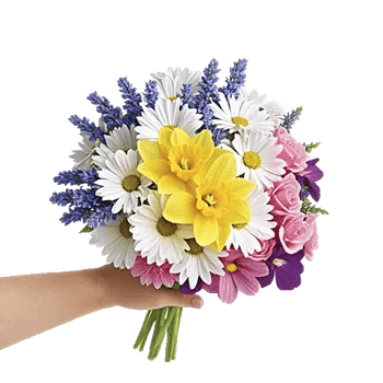 Petal Harmony Bliss