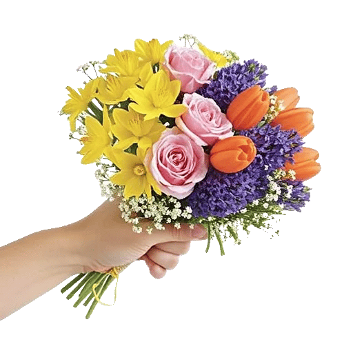 Blossom Radiant Whisper