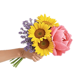 Twinkling Sunflower Dance