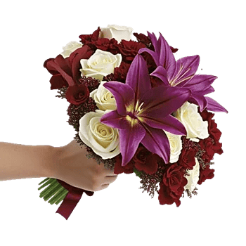 Elegant Calla Lilies