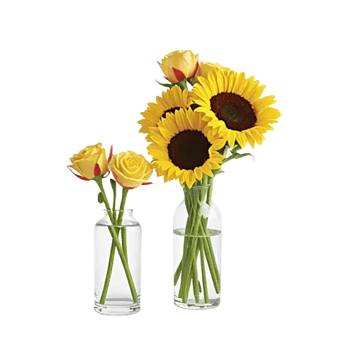 Radiant Bloom Cascade