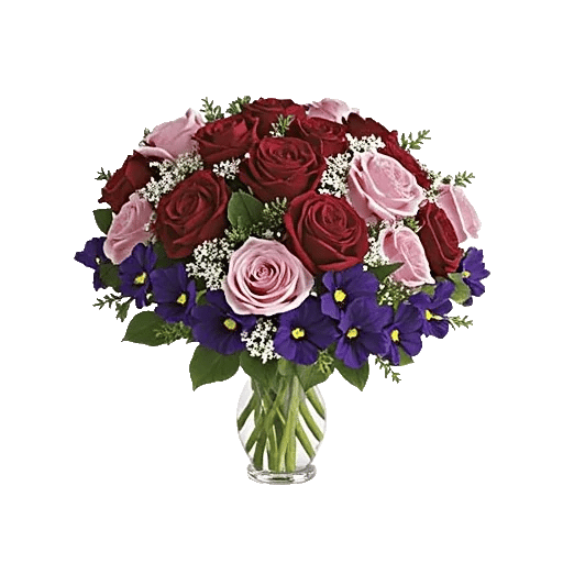 Crimson Blossom Harmony