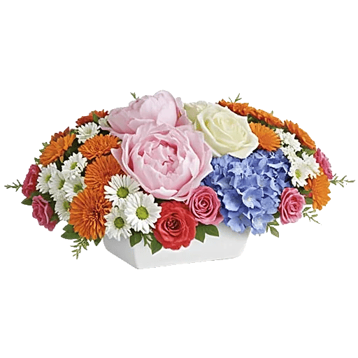 Petal Radiance Bliss