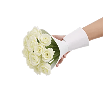 Minimalist White Orchids