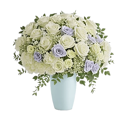 Serene Petal Harmony