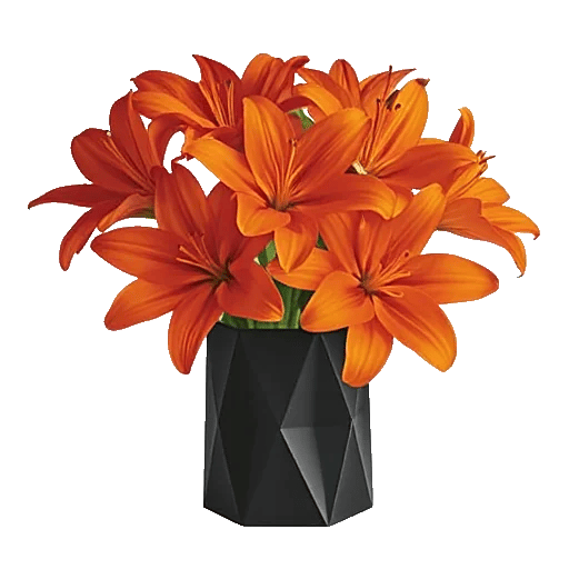 Crimson Lily Glow