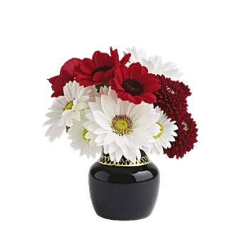 Crimson Blossom Harmony