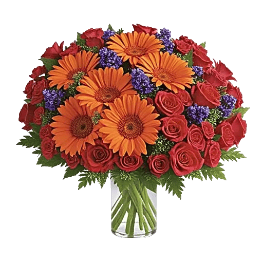 Petal Harmony Bliss