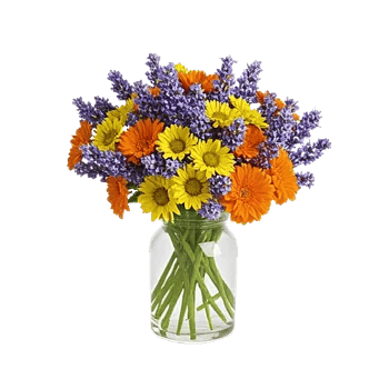 Lavender Bloom Grace