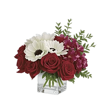 Crimson Rose Elegance